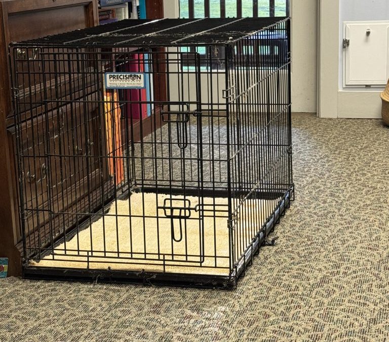 Rector’s Update: Fri 9/5