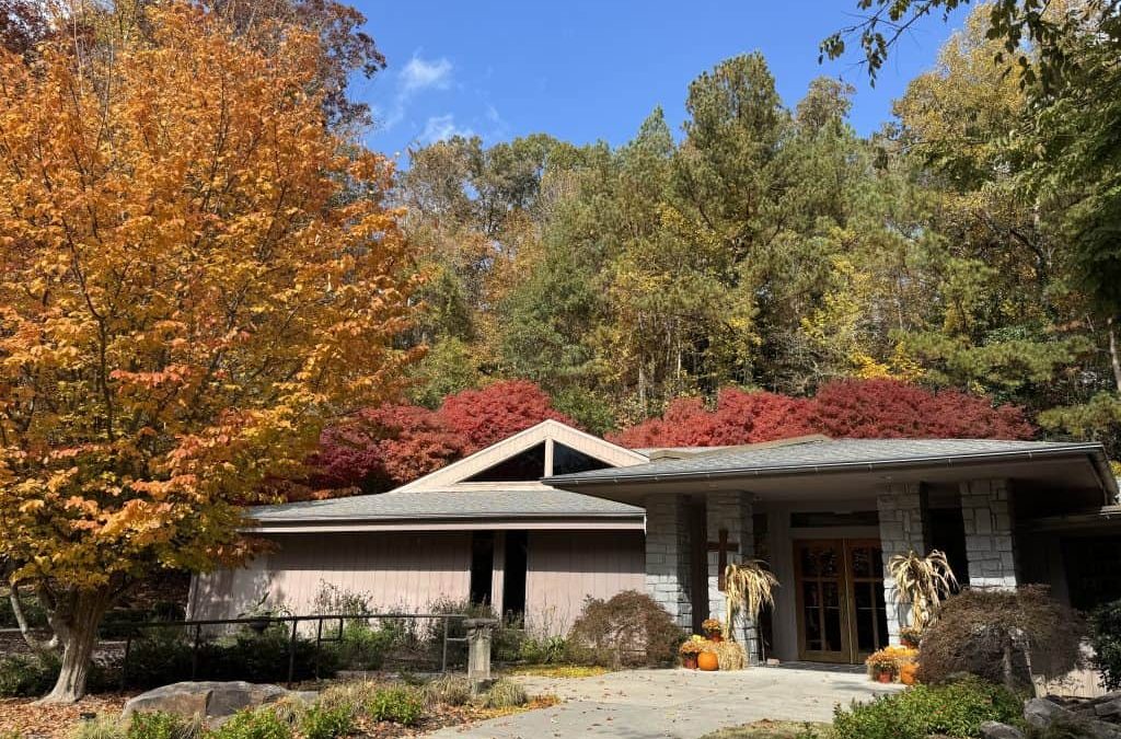 Rector’s Update: Sat 11/8