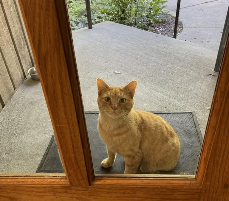 Rector’s Update: Tue 5/12